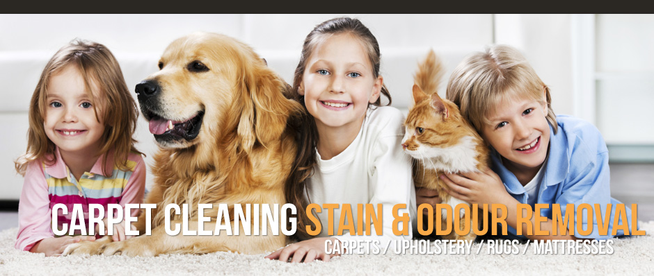 slide-002-carpet-cleaning-services.jpg