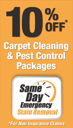 10% off Carpet Cleaning tweed coast gold coast